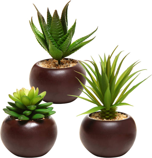 MyGift Mini Potted Succulents Plants, Set of 3