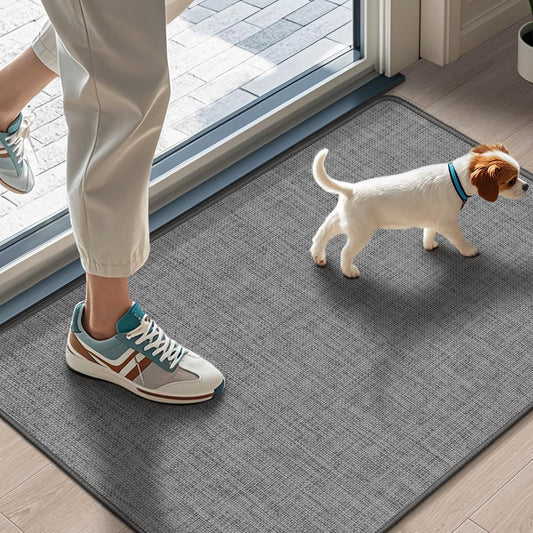 LEKEEPGO Ultra Thin Indoor Door Mat 17"x29", Non Slip Doormats, Grey