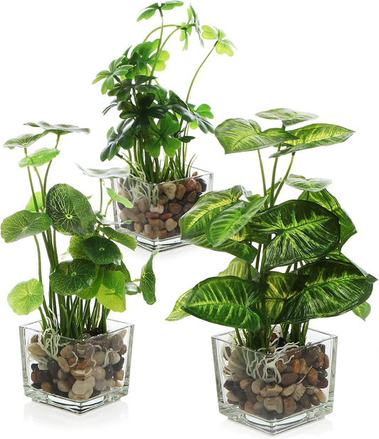 MyGift Set of 3 Small Assorted Artificial Plants in Clear Glass Pot