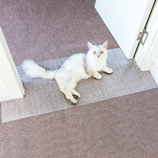 Oroonoko Carpet Protector for Pets-Plastic Carpet Protector, Clear, 3.6FT